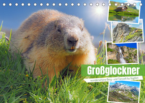 Großglockner wunderschöne Berg- und TierweltAT-Version (Tischkalender 2023 DIN A5 quer) von VogtArt