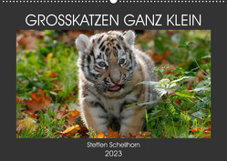 GROSSKATZEN GANZ KLEIN (Wandkalender 2023 DIN A2 quer) von Schellhorn,  Steffen