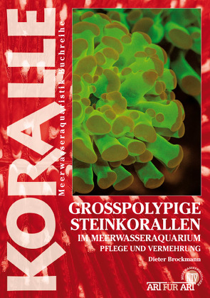 Grosspolypige Steinkorallen im Meerwasseraquarium von Brockmann,  Dieter
