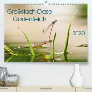 Großstadt-Oase Gartenteich (Premium, hochwertiger DIN A2 Wandkalender 2020, Kunstdruck in Hochglanz) von Wibke Hildebrandt,  Anne