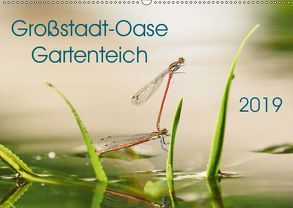 Großstadt-Oase Gartenteich (Wandkalender 2019 DIN A2 quer) von Wibke Hildebrandt,  Anne