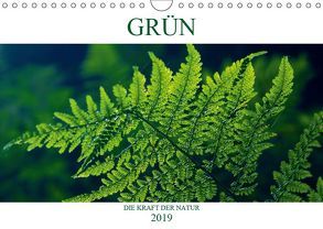 GRÜN . Die Kraft der Natur (Wandkalender 2019 DIN A4 quer) von Michel / CH,  Susan