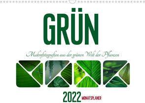 Grün Makrofotografien aus der grünen Welt der Pflanzen als Monatsplaner (Wandkalender 2022 DIN A3 quer) von d'Angelo - soulimages,  Kirsten
