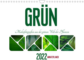 Grün Makrofotografien aus der grünen Welt der Pflanzen als Monatsplaner (Wandkalender 2022 DIN A4 quer) von d'Angelo - soulimages,  Kirsten