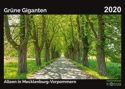 Grüne Giganten – Alleen in Mecklenburg-Vorpommern 2020 von Kriedemann,  Karsten