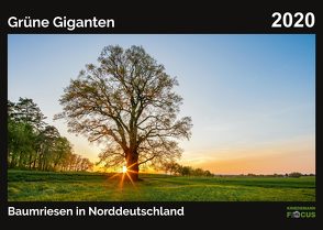 Grüne Giganten – Baumriesen in Norddeutschland 2020 von Kriedemann,  Karsten