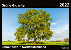 Grüne Giganten – Baumriesen in Norddeutschland 2022 von Kriedemann,  Karsten