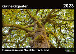 Grüne Giganten – Baumriesen in Norddeutschland von Kriedemann,  Karsten