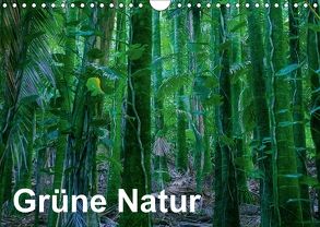 Grüne Natur (Wandkalender 2018 DIN A4 quer) von Hitzbleck,  Rolf