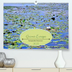 Grünes Europa – Naturparadies Drausensee (Premium, hochwertiger DIN A2 Wandkalender 2023, Kunstdruck in Hochglanz) von von Loewis of Menar,  Henning