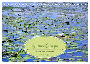 Grünes Europa – Naturparadies Drausensee (Tischkalender 2024 DIN A5 quer), CALVENDO Monatskalender von von Loewis of Menar,  Henning