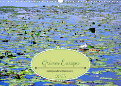 Grünes Europa – Naturparadies Drausensee (Wandkalender 2023 DIN A3 quer) von von Loewis of Menar,  Henning
