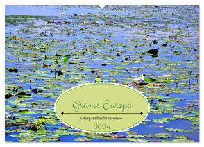 Grünes Europa – Naturparadies Drausensee (Wandkalender 2024 DIN A2 quer), CALVENDO Monatskalender von von Loewis of Menar,  Henning
