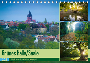 Grünes Halle/Saale – Meine wilde Händelstadt (Tischkalender 2021 DIN A5 quer) von Wasilewski,  Martin