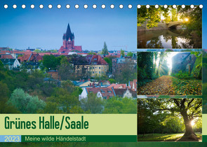 Grünes Halle/Saale – Meine wilde Händelstadt (Tischkalender 2023 DIN A5 quer) von Wasilewski,  Martin