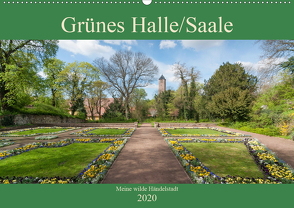 Grünes Halle/Saale – Meine wilde Händelstadt (Wandkalender 2020 DIN A2 quer) von Wasilewski,  Martin
