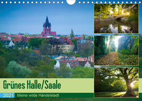 Grünes Halle/Saale – Meine wilde Händelstadt (Wandkalender 2021 DIN A4 quer) von Wasilewski,  Martin