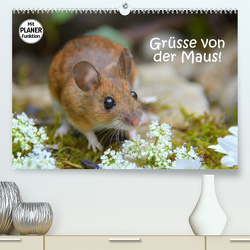 Grüsse von der Maus! (Premium, hochwertiger DIN A2 Wandkalender 2023, Kunstdruck in Hochglanz) von GUGIGEI