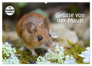 Grüsse von der Maus! (Wandkalender 2024 DIN A2 quer), CALVENDO Monatskalender von GUGIGEI,  GUGIGEI