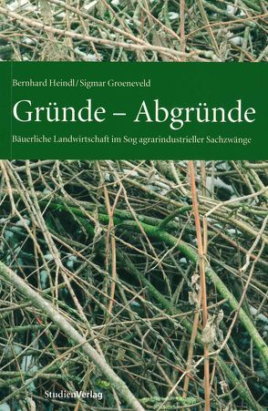 Gründe – Abgründe von Groeneveld,  Sigmar, Heindl,  Bernhard