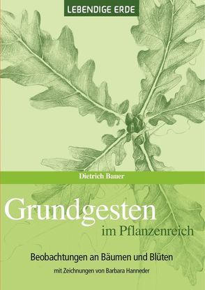 Grundgesten im Pflanzenreich von Bauer,  Dietrich