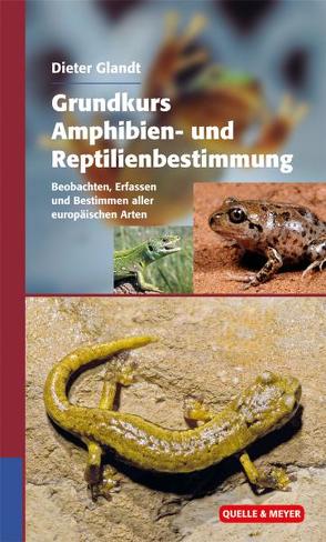 Grundkurs Amphibien- und Reptilienbestimmung von Glandt,  Dieter
