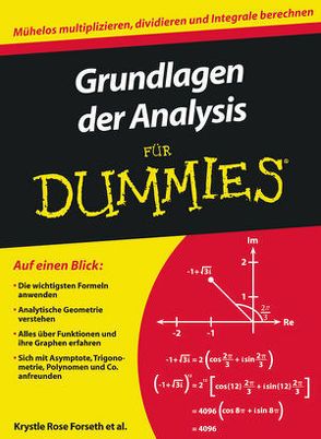 Grundlagen der Analysis für Dummies von Burger,  Christopher, Forseth,  Krystle Rose, Gilman,  Michelle Rose, Muhr,  Judith, Rumsey,  Deborah J., Ryan,  Mark