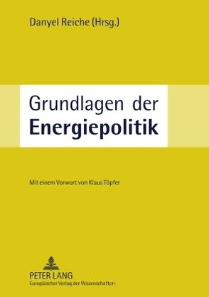 Grundlagen der Energiepolitik von Reiche,  Danyel