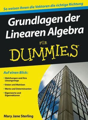 Grundlagen der Linearen Algebra für Dummies von Muhr,  Judith, Sterling,  Mary Jane
