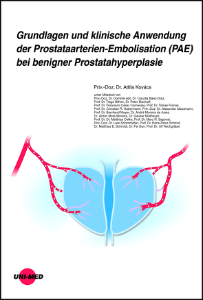 Grundlagen und klinische Anwendung der Prostataarterien-Embolisation (PAE) bei benigner Prostatahyperplasie von Kovacs,  Attila