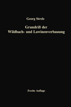 Grundriß der Wildbach- und Lawinenverbauung von Strele,  Georg