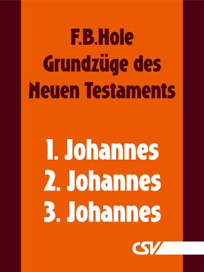 Grundzüge des Neuen Testaments – 1., 2. & 3. Johannes von Hole,  F.B.