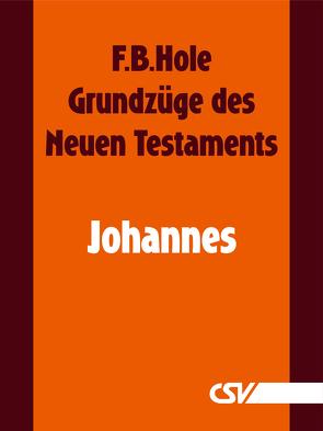 Grundzüge des Neuen Testaments – Johannes von Hole,  F.B.