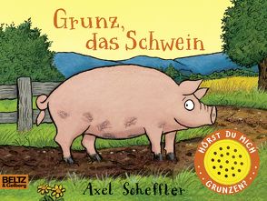 Grunz, das Schwein von Hohler,  Franz, Scheffler,  Axel