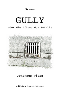 Gully – oder die Pfütze des Zufalls von Wierz,  Johannes