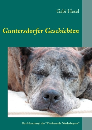 Guntersdorfer Geschichten von Goldner,  Colin, Hesel,  Gabi