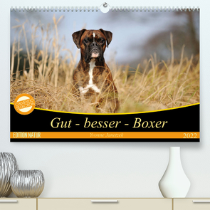 Gut – besser – Boxer (Premium, hochwertiger DIN A2 Wandkalender 2022, Kunstdruck in Hochglanz) von Janetzek,  Yvonne