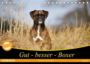 Gut – besser – Boxer (Tischkalender 2022 DIN A5 quer) von Janetzek,  Yvonne