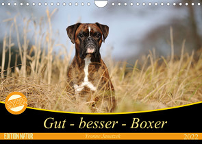 Gut – besser – Boxer (Wandkalender 2022 DIN A4 quer) von Janetzek,  Yvonne