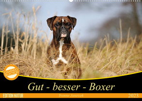 Gut – besser – Boxer (Wandkalender 2023 DIN A2 quer) von Janetzek,  Yvonne