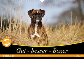 Gut – besser – Boxer (Wandkalender 2023 DIN A3 quer) von Janetzek,  Yvonne