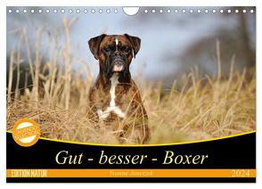 Gut – besser – Boxer (Wandkalender 2024 DIN A4 quer), CALVENDO Monatskalender von Janetzek,  Yvonne