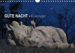 „Gute Nacht“-Kaleder (Wandkalender 2019 DIN A4 quer) von Schmdibauer,  Heinz