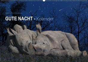 „Gute Nacht“-Kaleder (Wandkalender 2020 DIN A2 quer) von Schmdibauer,  Heinz