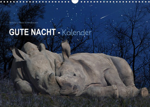 „Gute Nacht“-Kaleder (Wandkalender 2022 DIN A3 quer) von Schmdibauer,  Heinz
