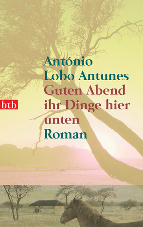 Guten Abend ihr Dinge hier unten von Lobo Antunes,  António, Meyer-Minnemann,  Maralde