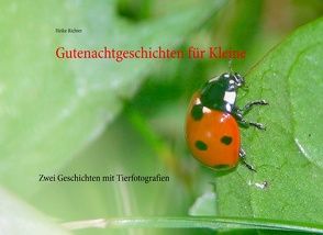 Gutenachtgeschichten für Kleine von Richter,  Heike