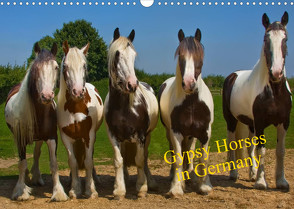 Gypsy Horses (Wandkalender 2023 DIN A3 quer) von weh-zet