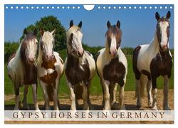 Gypsy Horses (Wandkalender 2024 DIN A4 quer), CALVENDO Monatskalender von weh-zet,  weh-zet