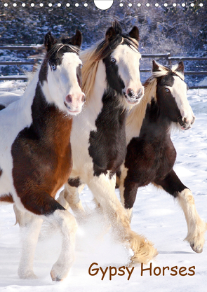 Gypsy’s (Wandkalender 2021 DIN A4 hoch) von Wejat-Zaretzke,  Gabriela